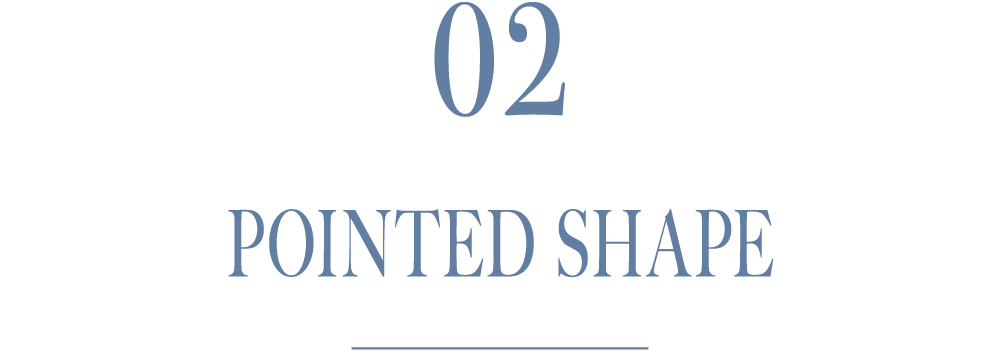 02 POINTED SHAPE