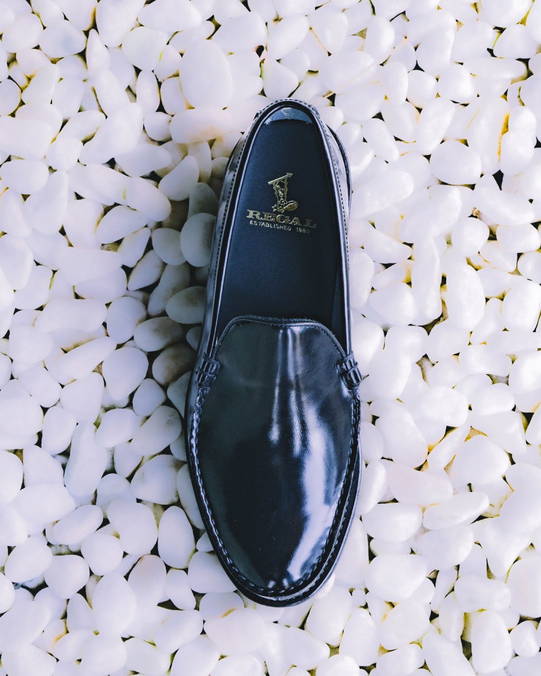 アーカイブ画像1