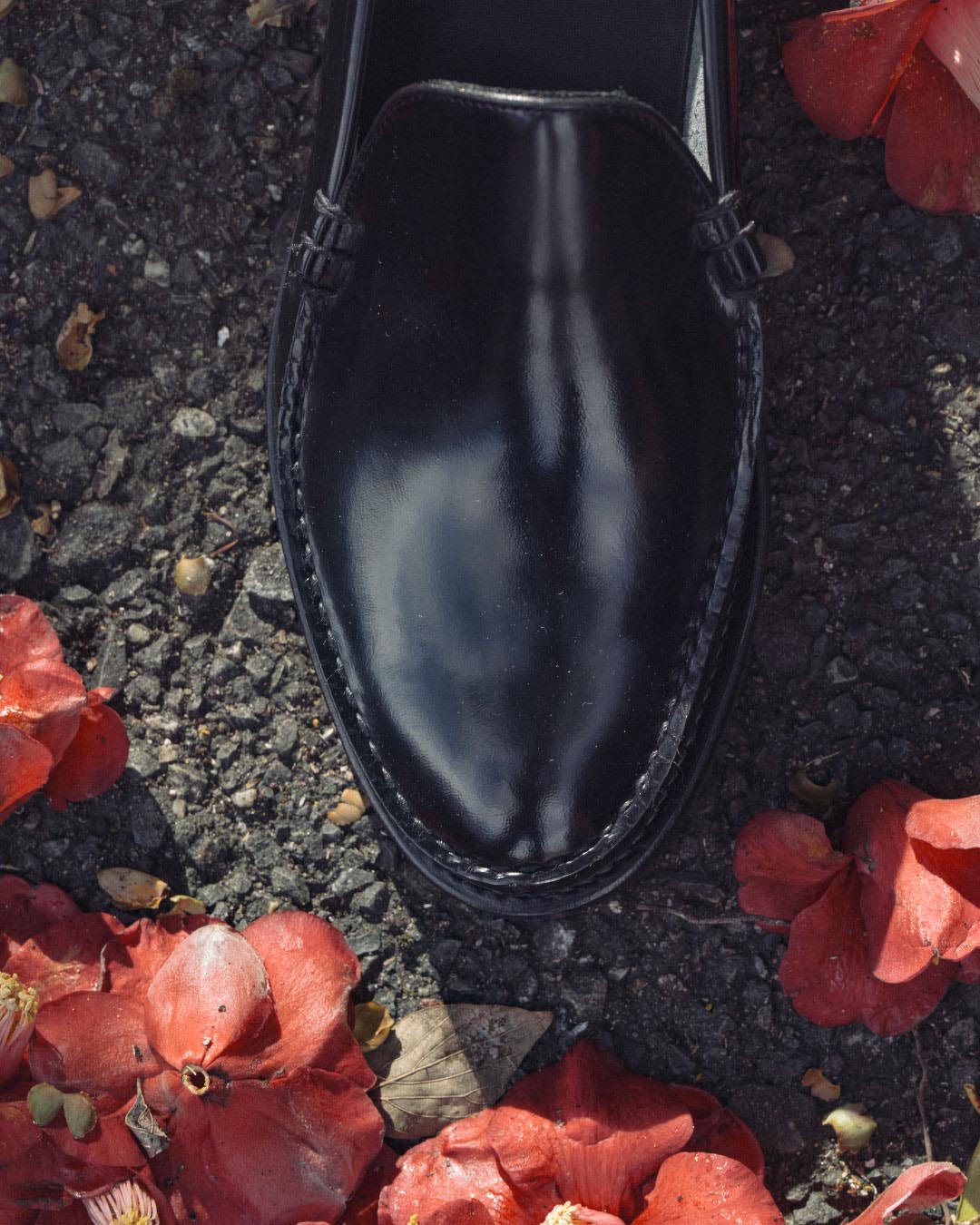 アーカイブ画像2