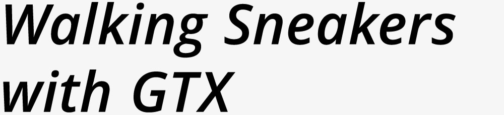 Walking Business Shoes with GTX