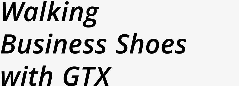 Walking Business Shoes with GTX