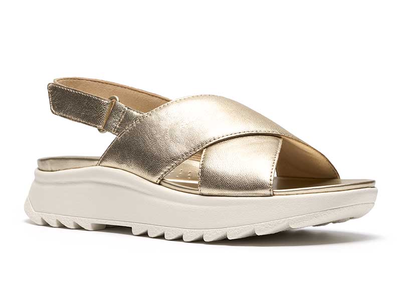 DashLite Wish ダッシュライトウィッシュ