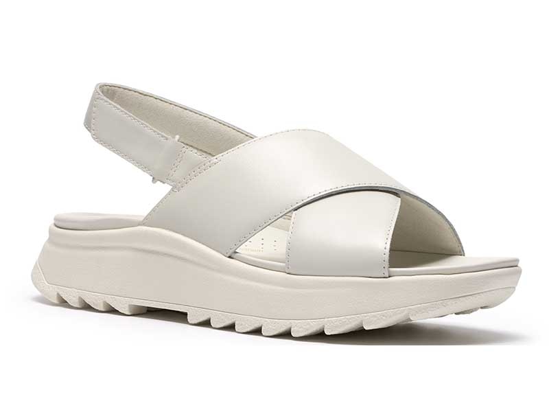 DashLite Wish ダッシュライトウィッシュ