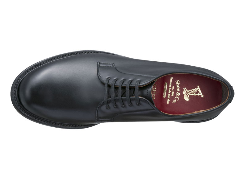 REGAL Shoe & Co. プレーントウ（GORE-TEX フットウェア）（814SDFK01