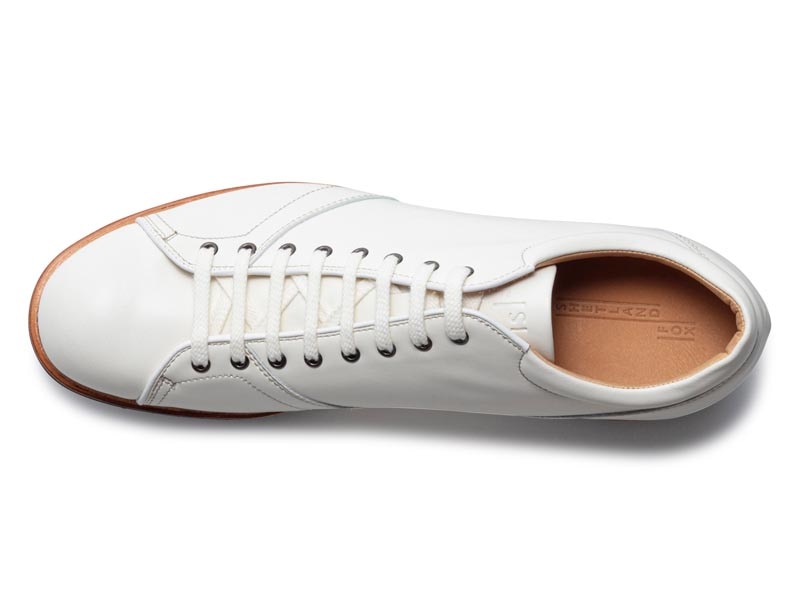 【スペイサイド】スニーカー