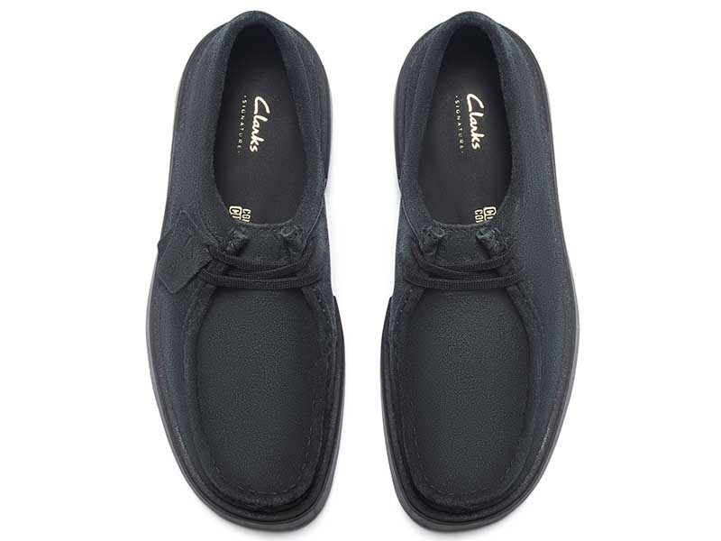 Torview トービュー