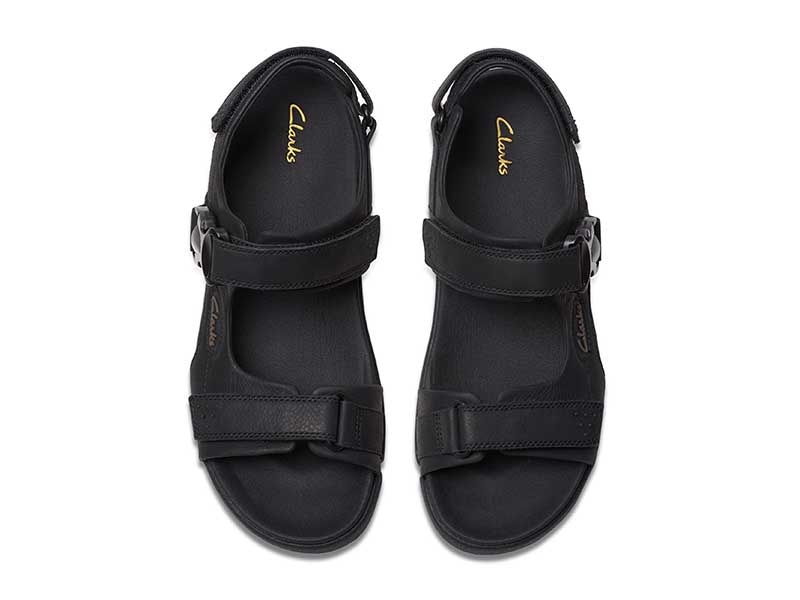 Trigenic2 Ray トライジェニックレイ