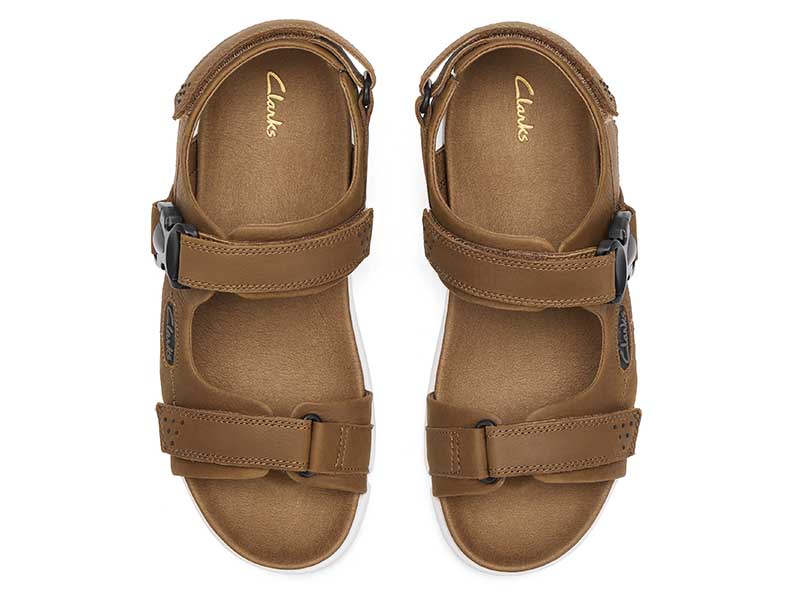 Trigenic2 Ray トライジェニックレイ