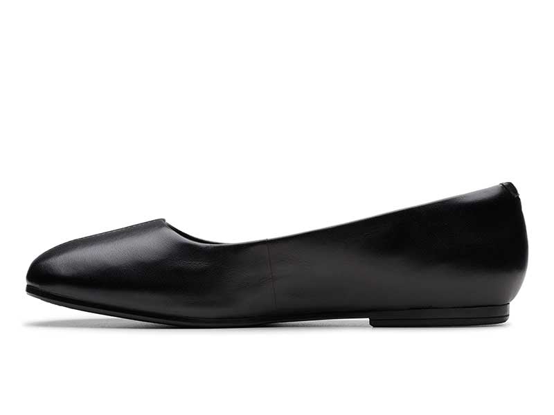 Livia Lily リビアリリー