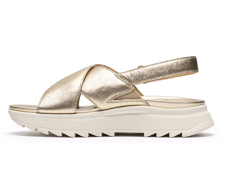 DashLite Wish ダッシュライトウィッシュ