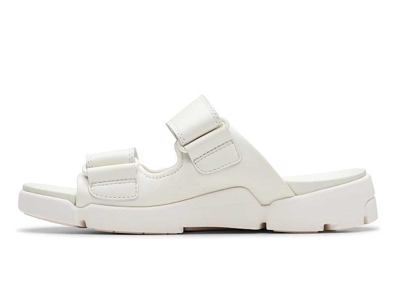 Trigenic2 Sun. トライジェニック2サン