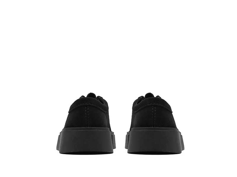 Torview W トービューW