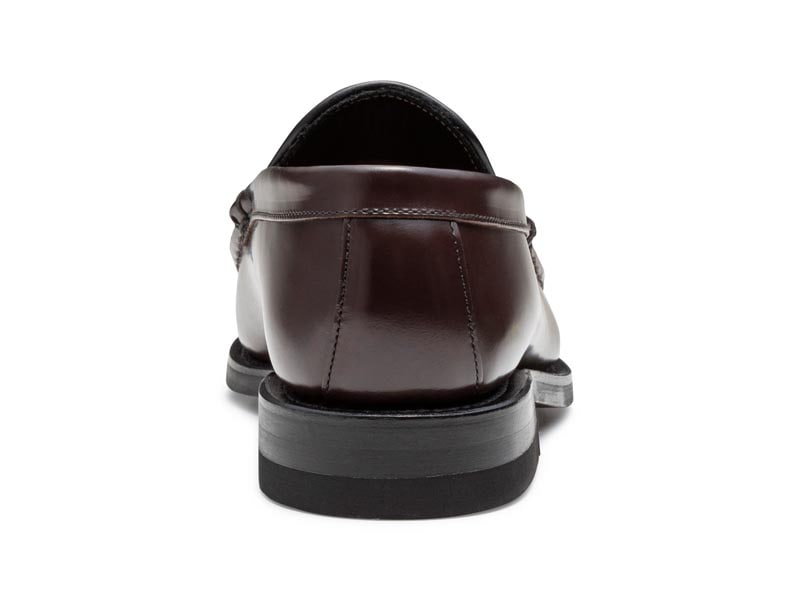 コブラヴァンプ