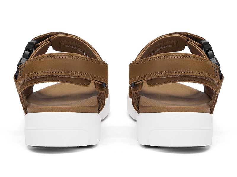 Trigenic2 Ray トライジェニックレイ