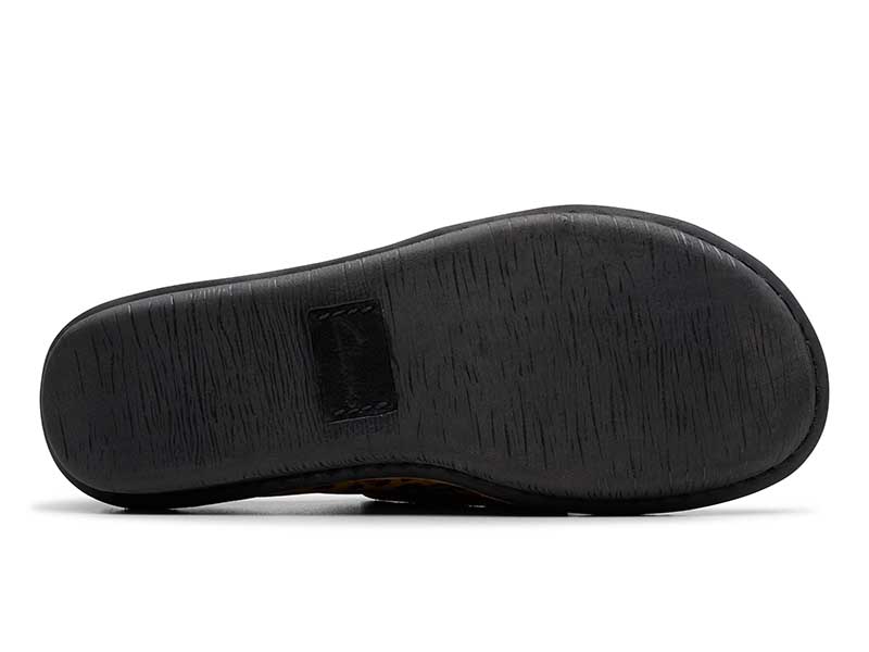 Funny Dream ファニードリーム