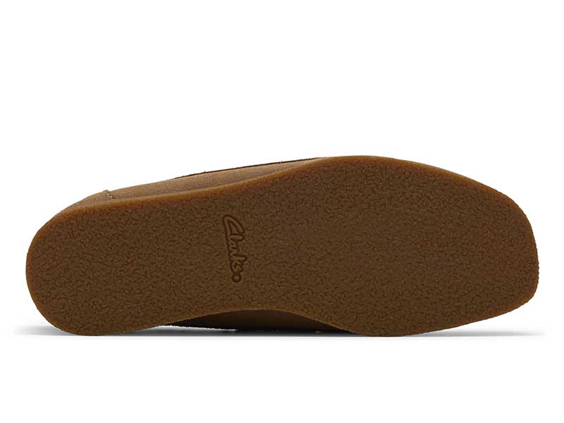 WallabeeEVOSea ワラビーエヴォシー