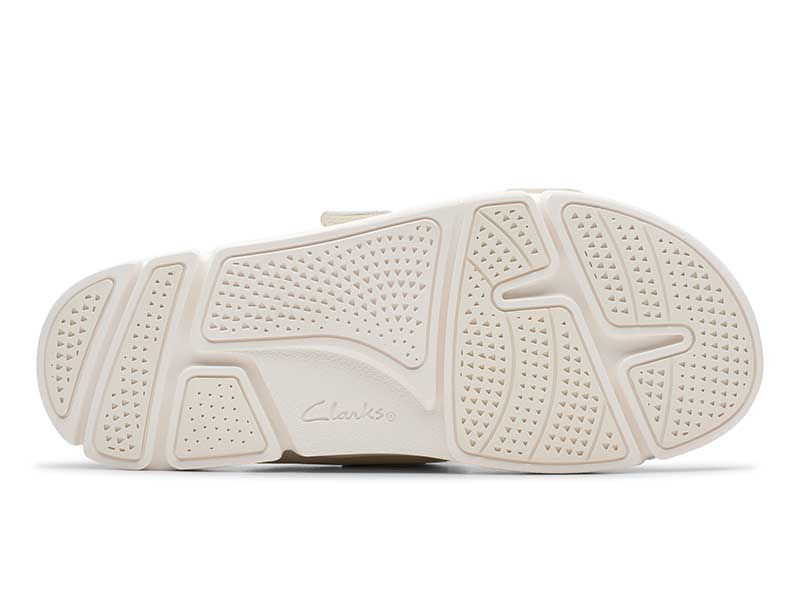 Trigenic2 Sun. トライジェニック2サン