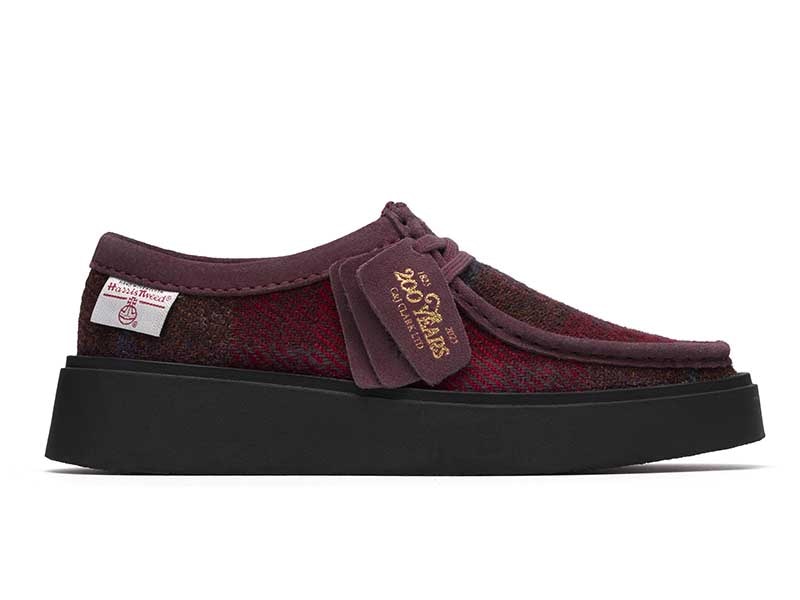 019KT Torview W トービューW プラム