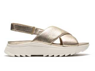 DashLite Wish ダッシュライトウィッシュ