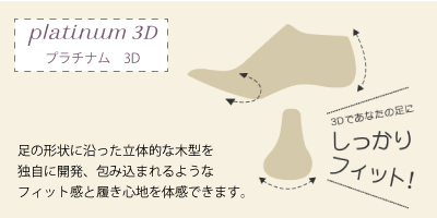 プラチナム3D説明